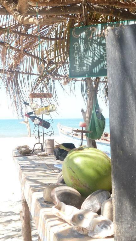 Grillo Tres Puntas Eco-Hostel Zorritos Εξωτερικό φωτογραφία