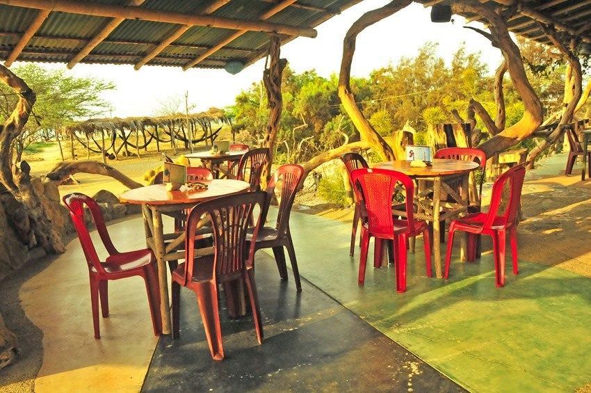 Grillo Tres Puntas Eco-Hostel Zorritos Εξωτερικό φωτογραφία
