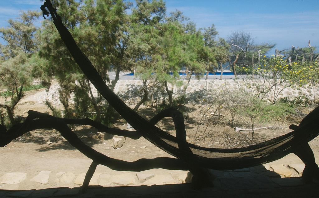 Grillo Tres Puntas Eco-Hostel Zorritos Εξωτερικό φωτογραφία